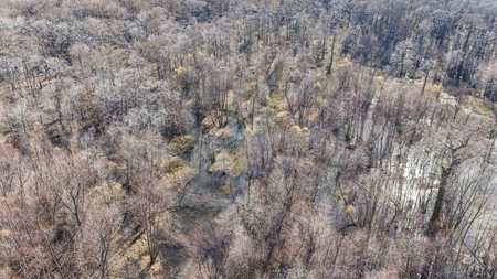 Hunting Land for Sale in The MS Delta - image 36