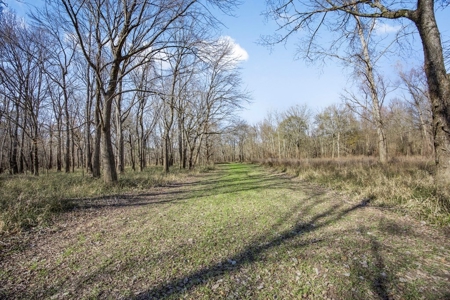 Hunting Land for Sale in The MS Delta - image 20