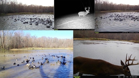 Hunting Land for Sale in The MS Delta - image 3