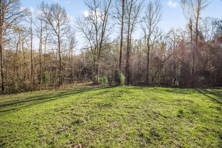 Hunting Land for Sale in The MS Delta - image 27