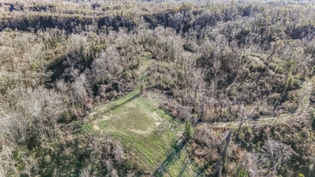 Hunting Land for Sale in The MS Delta - image 42