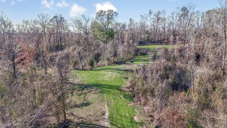 Hunting Land for Sale in The MS Delta - image 1