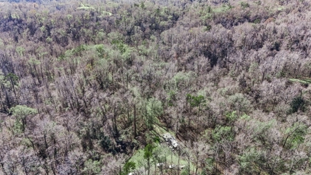 Hunting Land for Sale in The MS Delta - image 28