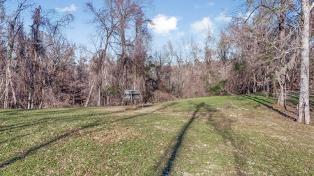 Hunting Land for Sale in The MS Delta - image 40