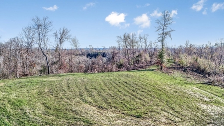 Hunting Land for Sale in The MS Delta - image 43