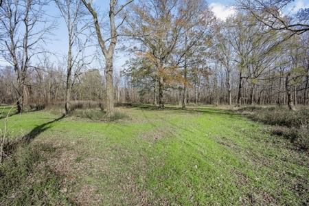Hunting Land for Sale in The MS Delta - image 19