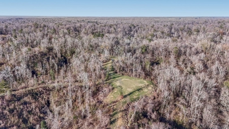 Hunting Land for Sale in The MS Delta - image 46