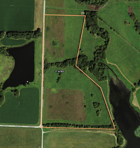 Acreage For Sale in Garden City, MO! - image 23