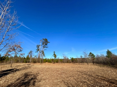 Hunting land for sale - image 13