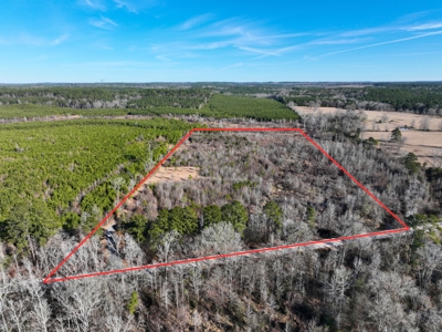Hunting land for sale - image 3