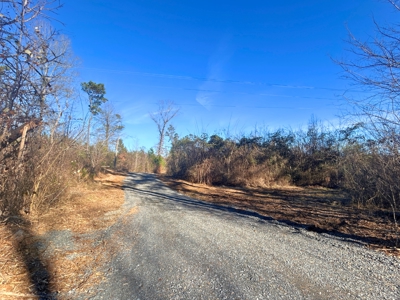 Hunting land for sale - image 4
