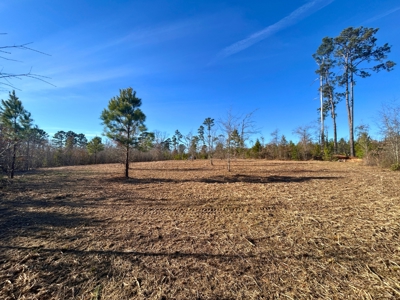 Hunting land for sale - image 5