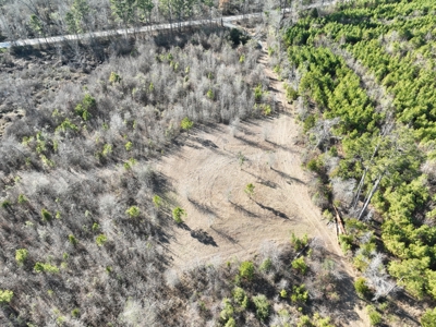 Hunting land for sale - image 10