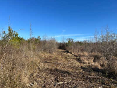 Hunting land for sale - image 14