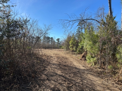 Hunting land for sale - image 7