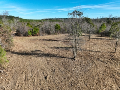 Hunting land for sale - image 6