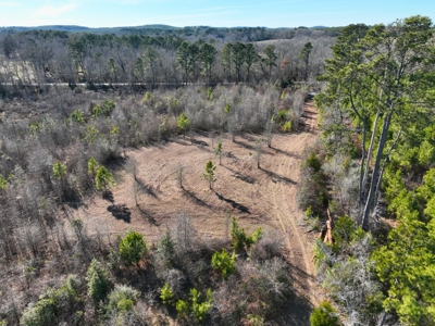 Hunting land for sale - image 1