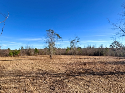 Hunting land for sale - image 11