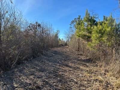 Hunting land for sale - image 9