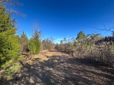 Hunting land for sale - image 8