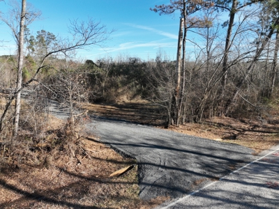 Hunting land for sale - image 2