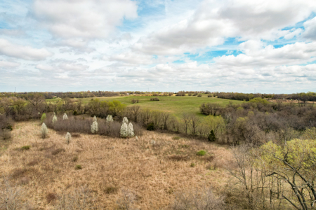 Acreage For Sale in Garden City, MO - image 4