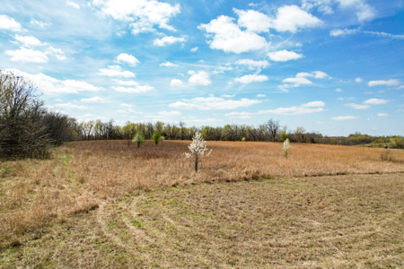 Acreage For Sale in Garden City, MO - image 26