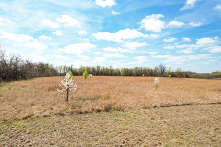 Acreage For Sale in Garden City, MO - image 25