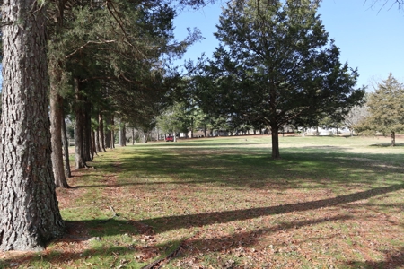 In Town Home, Shop & Acreage With Development Potential - image 21