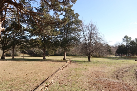 In Town Home, Shop & Acreage With Development Potential - image 5