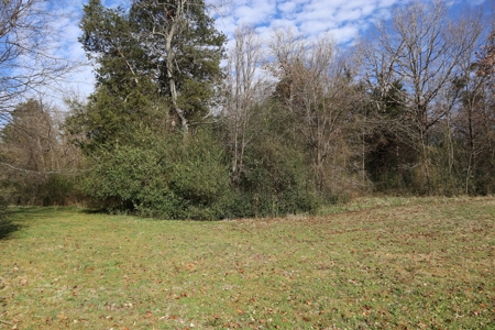 In Town Home, Shop & Acreage With Development Potential - image 19