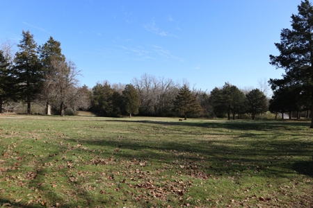 In Town Home, Shop & Acreage With Development Potential - image 3