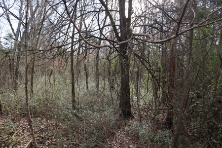 In Town Home, Shop & Acreage With Development Potential - image 16