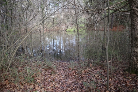 In Town Home, Shop & Acreage With Development Potential - image 14