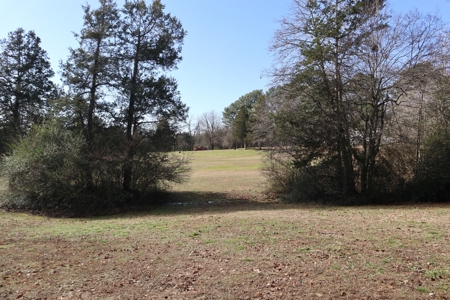In Town Home, Shop & Acreage With Development Potential - image 17