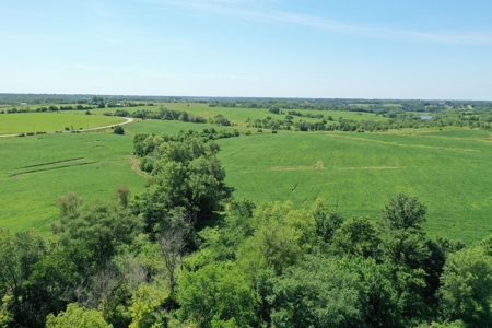 76 Acres of Iowa Farm Land For Sale - image 9