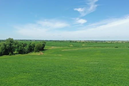 76 Acres of Iowa Farm Land For Sale - image 8