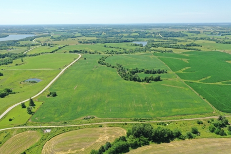 76 Acres of Iowa Farm Land For Sale - image 6