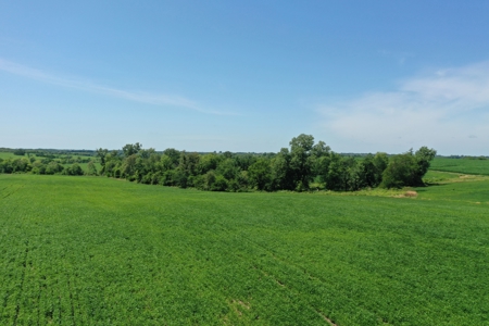76 Acres of Iowa Farm Land For Sale - image 7