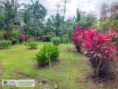 Titled Big Creek Home and Adjacent Lot for Sale, Isla Colon - image 22