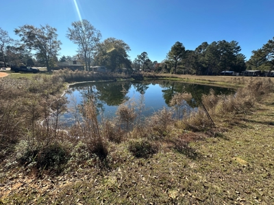 Home for sale in Hartford, Alabama - image 3