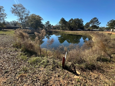 Home for sale in Hartford, Alabama - image 4