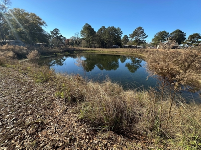 Home for sale in Hartford, Alabama - image 2