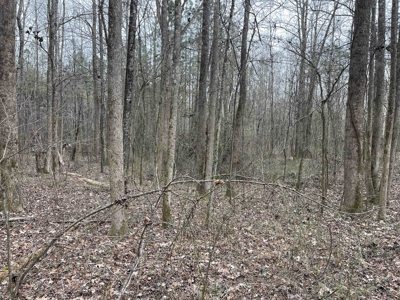Country Home Fixer Upper With Storage For Sale In Tennessee - image 27