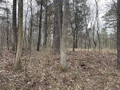 Country Home Fixer Upper With Storage For Sale In Tennessee - image 29