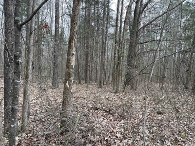 Country Home Fixer Upper With Storage For Sale In Tennessee - image 38