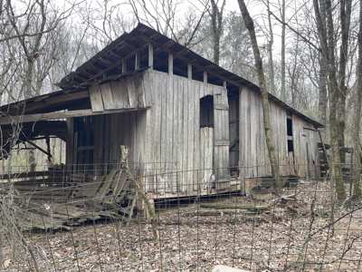 Country Home Fixer Upper With Storage For Sale In Tennessee - image 42