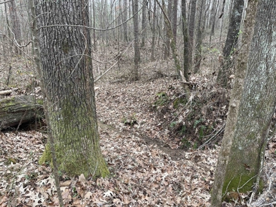 Country Home Fixer Upper With Storage For Sale In Tennessee - image 33