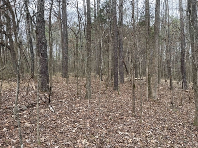 Country Home Fixer Upper With Storage For Sale In Tennessee - image 30