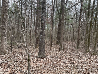 Country Home Fixer Upper With Storage For Sale In Tennessee - image 39